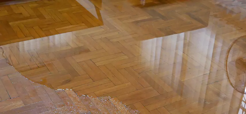 Laminate Wood Floor Water Damage Repair in Eustis