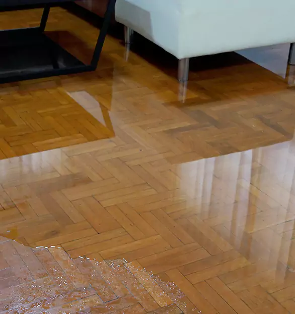 Trusted Emergency Water Restoration Company in Eustis, ME