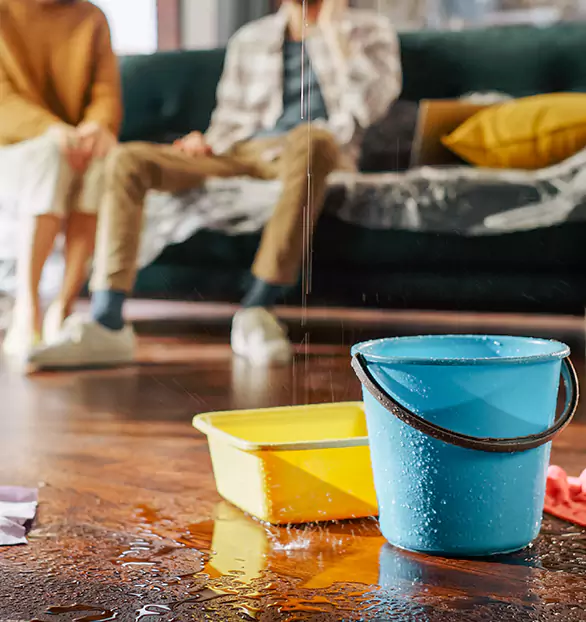 Trusted Water Restoration Company in Eustis, ME